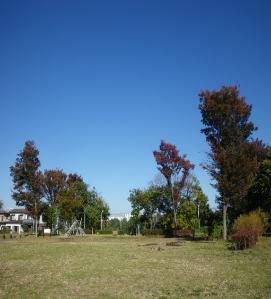 国史跡　下野谷遺跡公園の紅葉の写真