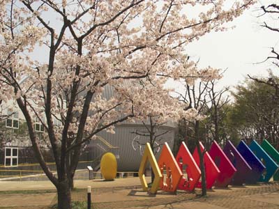 写真：多摩六都科学館の桜
