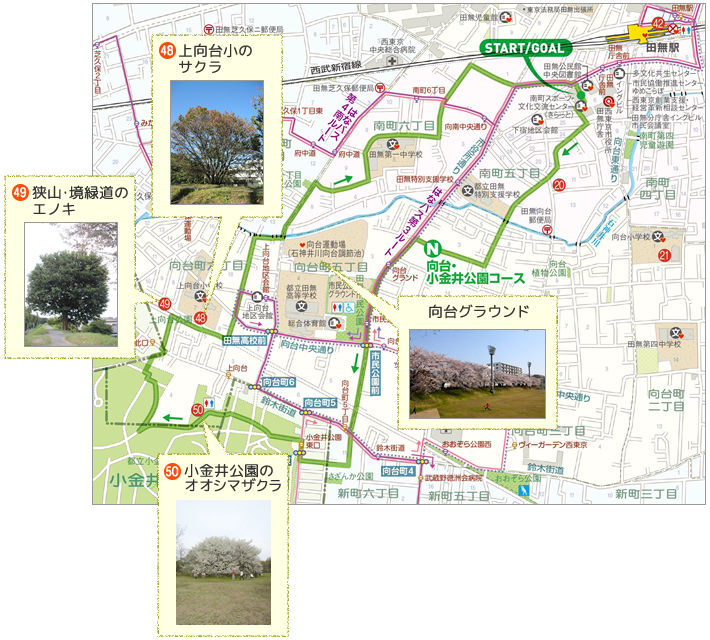N 向台・小金井公園コース　地図