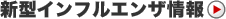 �V�^�C���t���G���U���