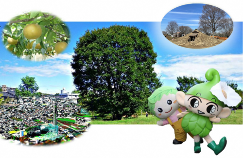 西東京市イメージ写真