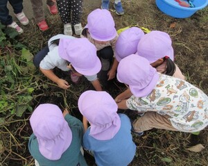 園内の畑の写真