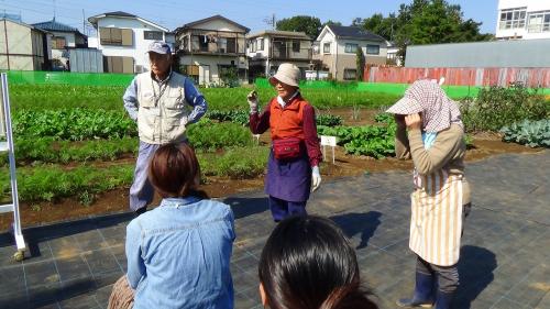 写真4：まちの農業の魅力について語る援農ボランティアの方々。