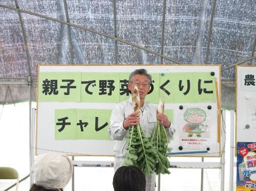 「だいこん」と「かぶ」の生育について説明をする農業委員の青木さんの画像