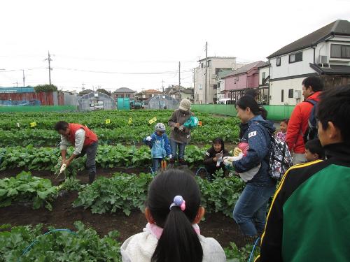 お手本を見せる、農業委員の下田さんの画像