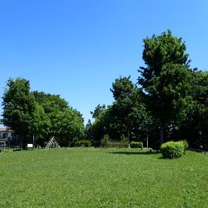 下野谷遺跡公園の夏の写真