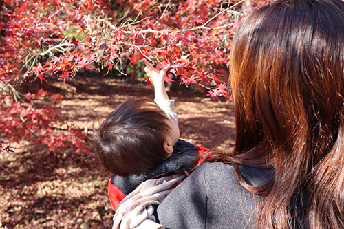 赤ちゃんんが紅葉を触っている写真