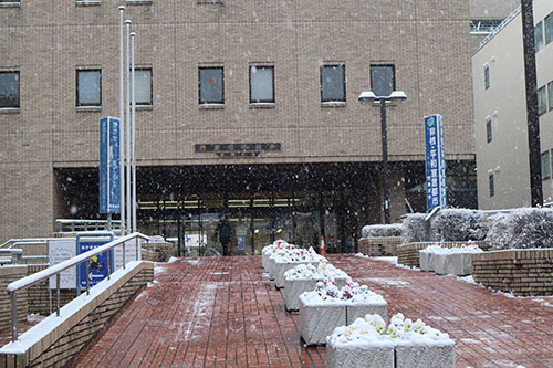 庁舎の雪