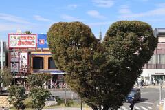 ハートの木の写真