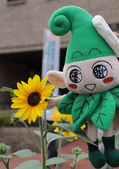 田無庁舎目の前の花壇に咲いたひまわりといこいーなのぬいぐるみが写っている画像