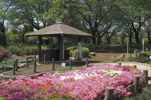 Image:Bunridai Park