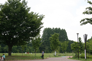 Image:Nishitokyo Ikoinomori Park
