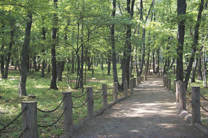 Image:Nishihara Nature Park