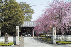 Image:Tanashisan Sojiji Temple