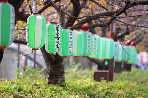 市民まつり提灯の写真