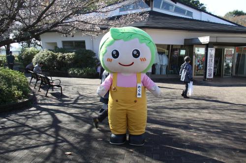 キャラクターたち