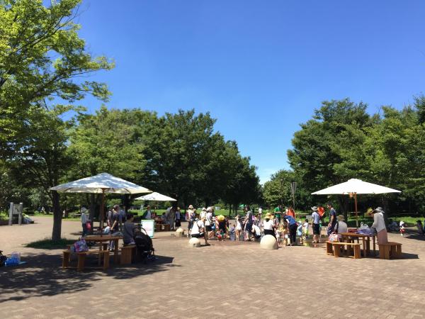 いこいの森公園イベント風景