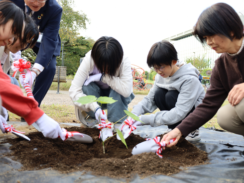 小学生による植樹の様子