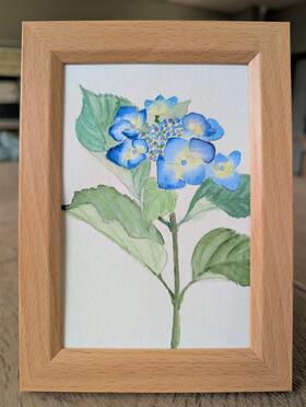 参考作品