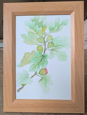 参考作品
