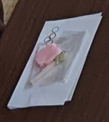懐紙にのせたお干菓子