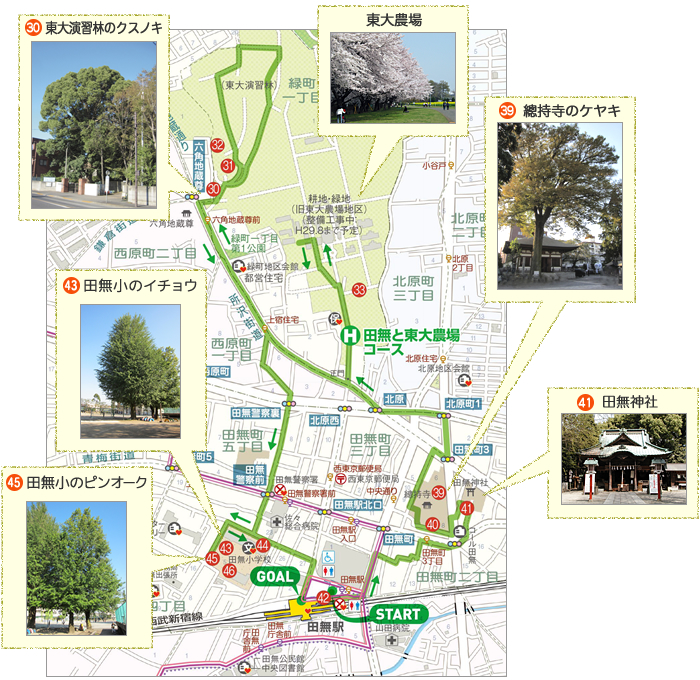 H 田無と東大農場コース　地図