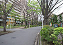 E ひばりが丘・いこいの森コース　写真