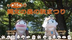 秋まつり動画画像