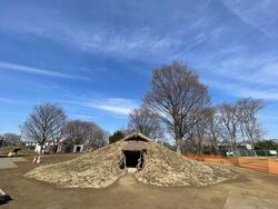 完成した竪穴住居画像