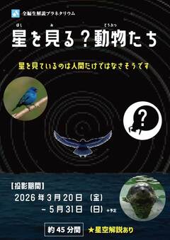 画像:星を見る?動物たち