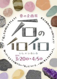 画像:石のイロイロ