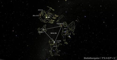 冬の大三角の写真