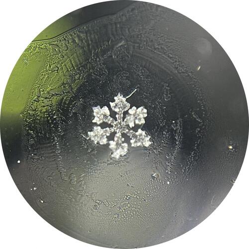 雪の結晶の写真