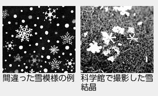 画像：雪の結晶の画像