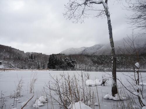 観音沼森林公園
