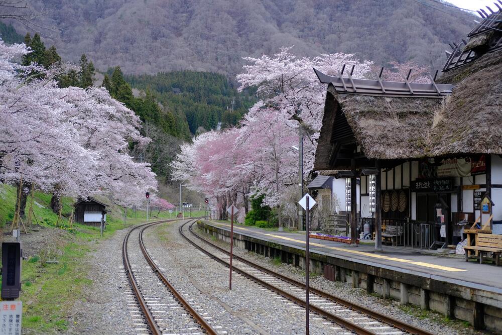 湯野上温泉駅の桜の写真
