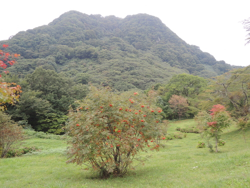 金塚山（中山風穴からの眺めの写真）