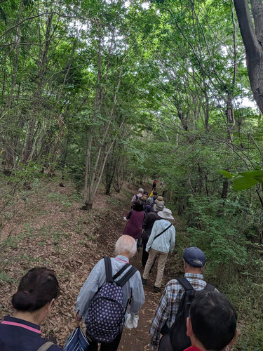warking