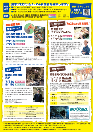チラシ裏