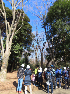 各写真提供：小金井公園サービスセンター