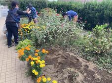 庭の手入れの様子