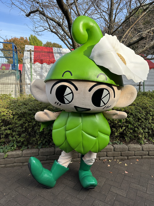 写真：いこいーな