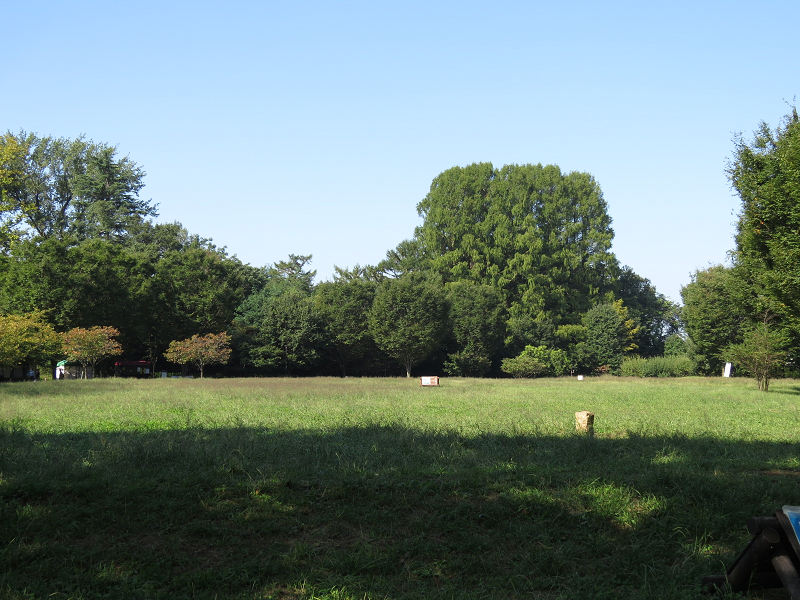 写真；西東京いこいの森公園