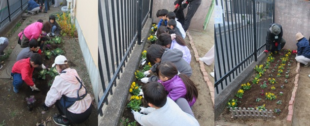 写真:活動の様子