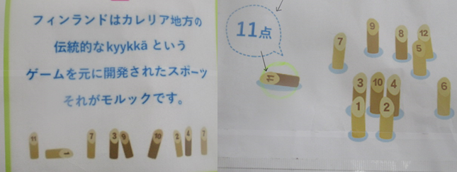 写真；モルックの説明