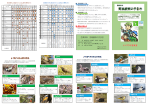 野鳥観察の手引き（表面）の内容