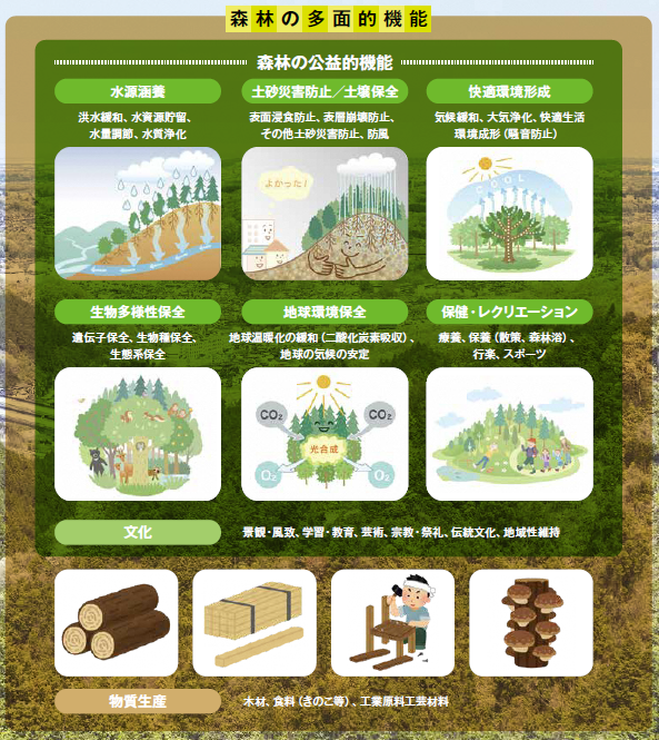森林の多面的機能