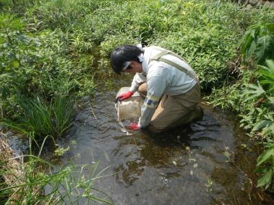 底生生物（サーバーネット）の画像