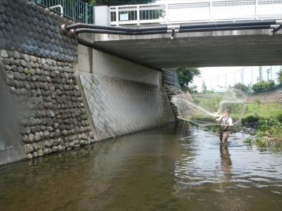 魚類（投網、タモ網等）の画像