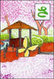 画像：サクラ咲く文理台公園に 歓声ひびき　